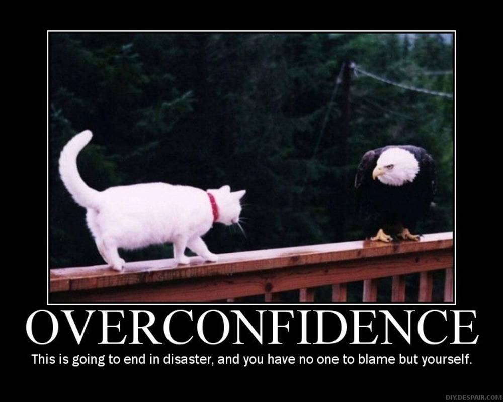Domestic cat approaching massive eagle, captioned: OVERCONFIDENCE. This is going to end in disaster, and you have no one to blame but yourself.