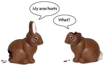 Two chocolate rabbits. One has had the bum bitten off, the other has had the ears bitten off. The first rabbit says My arse hurts! The other replies What?