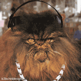 Animated graphic: hip hop cat