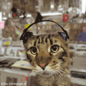 Animated graphic: house cat