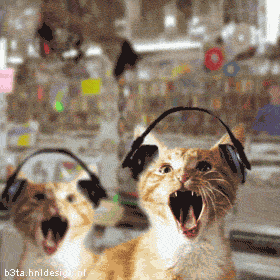 Animated graphic: metal cats