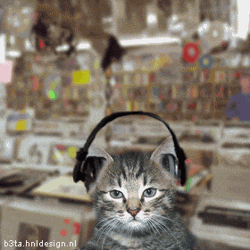 Animated graphic: stevie wonder cat