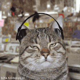 Animated graphic: stoner rock cat